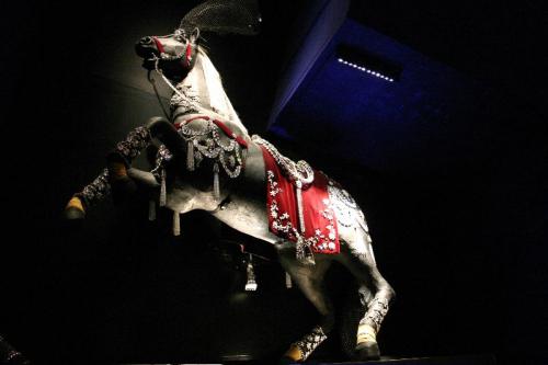 IMG 5305 070615