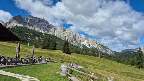 20260914 130604.jpg compressed